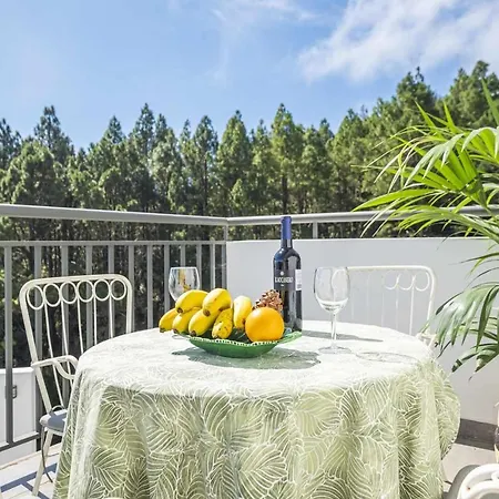 Villa Los Berros Live Canarias Santa Cruz de Tenerife